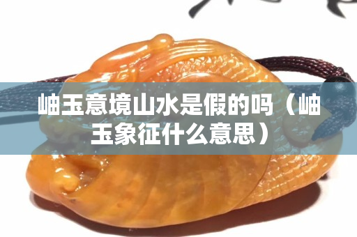 岫玉意境山水是假的吗（岫玉象征什么意思）