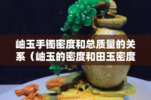 岫玉手镯密度和总质量的关系（岫玉的密度和田玉密度）