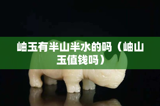 岫玉有半山半水的吗（岫山玉值钱吗）
