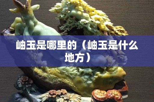 岫玉是哪里的（岫玉是什么地方）