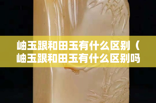 岫玉跟和田玉有什么区别（岫玉跟和田玉有什么区别吗）
