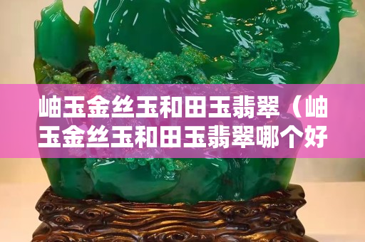 岫玉金丝玉和田玉翡翠（岫玉金丝玉和田玉翡翠哪个好）