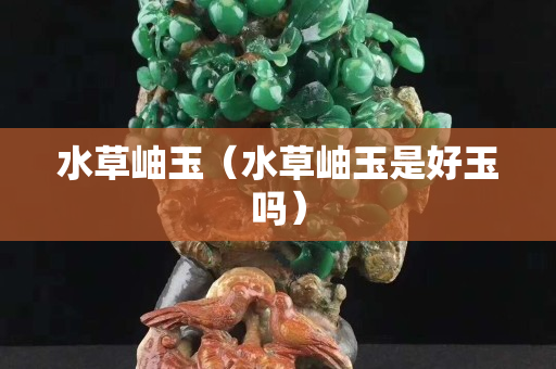 水草岫玉（水草岫玉是好玉吗）