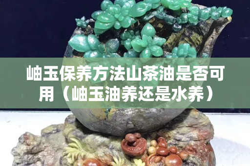 岫玉保养方法山茶油是否可用（岫玉油养还是水养）