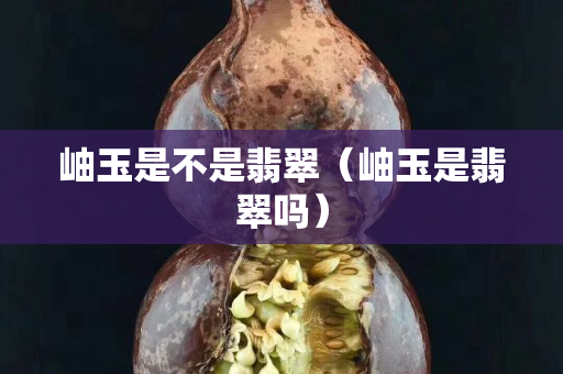 岫玉是不是翡翠（岫玉是翡翠吗）