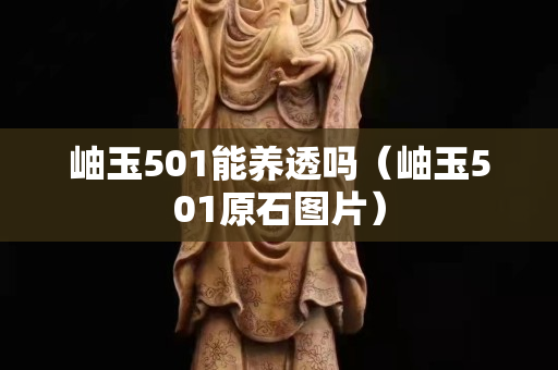岫玉501能养透吗（岫玉501原石图片）
