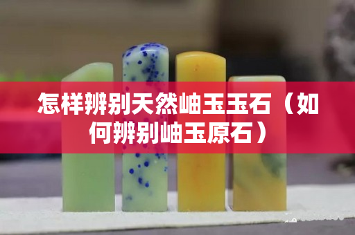 怎样辨别天然岫玉玉石（如何辨别岫玉原石）