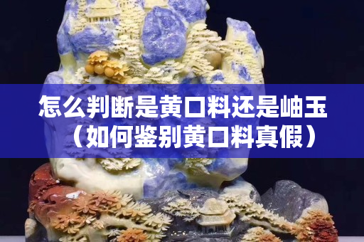怎么判断是黄口料还是岫玉（如何鉴别黄口料真假）