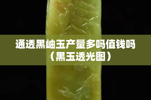 通透黑岫玉产量多吗值钱吗（黑玉透光图）