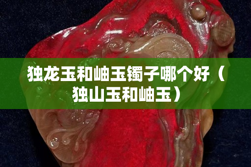 独龙玉和岫玉镯子哪个好（独山玉和岫玉）