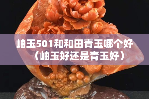 岫玉501和和田青玉哪个好（岫玉好还是青玉好）