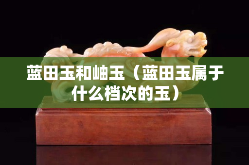 蓝田玉和岫玉（蓝田玉属于什么档次的玉）