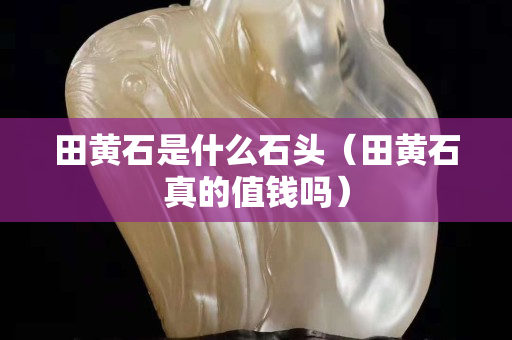 田黄石是什么石头（田黄石真的值钱吗）