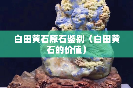 白田黄石原石鉴别（白田黄石的价值）
