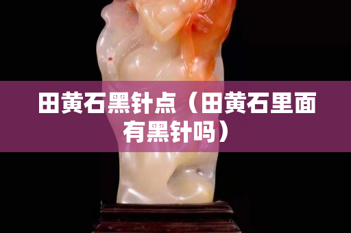 田黄石黑针点（田黄石里面有黑针吗）