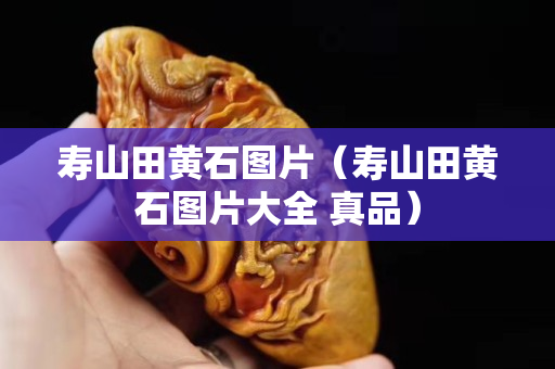 寿山田黄石图片（寿山田黄石图片大全 真品）