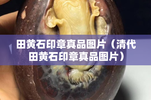 田黄石印章真品图片（清代田黄石印章真品图片）