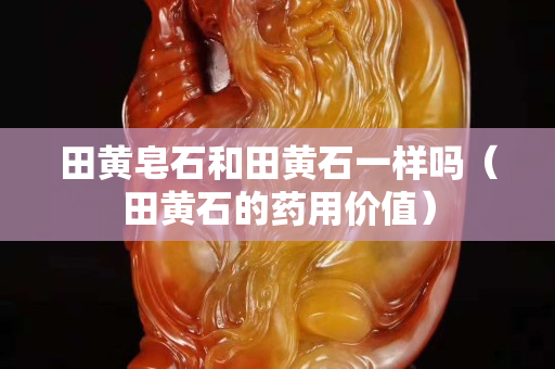 田黄皂石和田黄石一样吗（田黄石的药用价值）