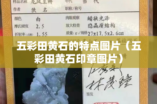 五彩田黄石的特点图片（五彩田黄石印章图片）