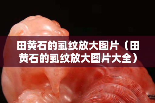 田黄石的虱纹放大图片（田黄石的虱纹放大图片大全）