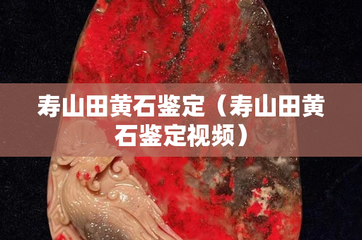 寿山田黄石鉴定（寿山田黄石鉴定视频）