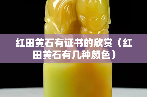 红田黄石有证书的欣赏（红田黄石有几种颜色）
