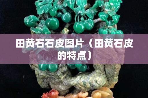 田黄石石皮图片（田黄石皮的特点）