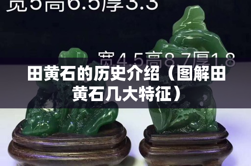 田黄石的历史介绍（图解田黄石几大特征）