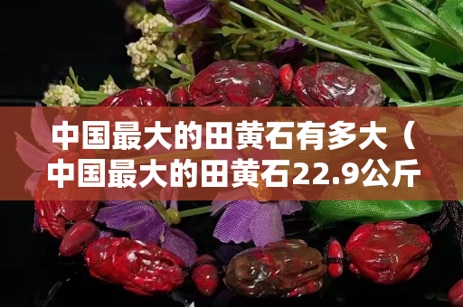 中国最大的田黄石有多大（中国最大的田黄石22.9公斤）