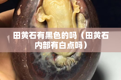 田黄石有黑色的吗（田黄石内部有白点吗）