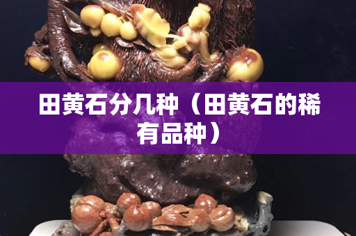 田黄石分几种（田黄石的稀有品种）