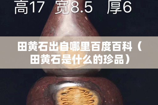 田黄石出自哪里百度百科（田黄石是什么的珍品）