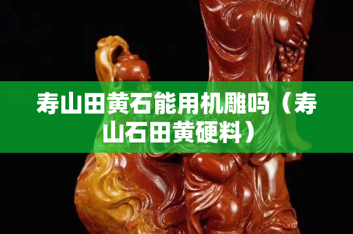 寿山田黄石能用机雕吗（寿山石田黄硬料）