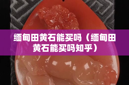 缅甸田黄石能买吗（缅甸田黄石能买吗知乎）