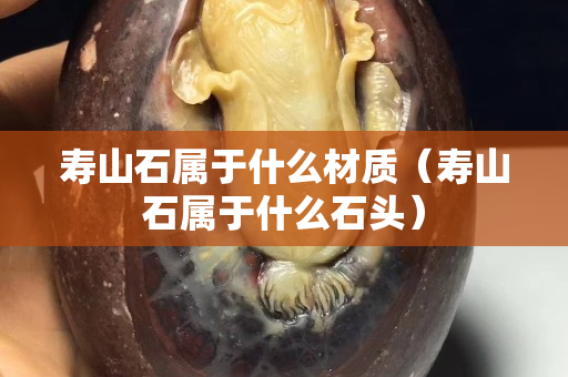 寿山石属于什么材质（寿山石属于什么石头）