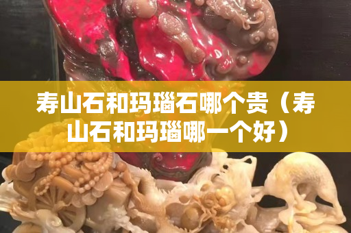 寿山石和玛瑙石哪个贵（寿山石和玛瑙哪一个好）