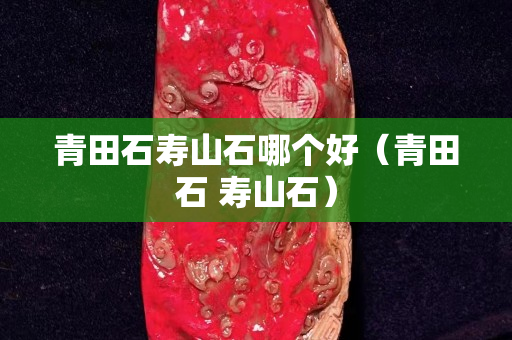 青田石寿山石哪个好（青田石 寿山石）