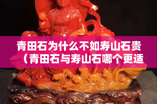青田石为什么不如寿山石贵（青田石与寿山石哪个更适合刻印章）