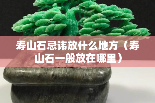 寿山石忌讳放什么地方（寿山石一般放在哪里）