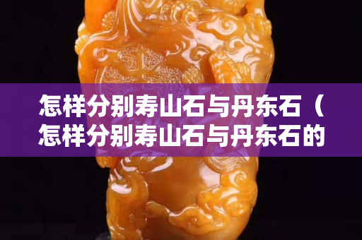 怎样分别寿山石与丹东石（怎样分别寿山石与丹东石的区别）