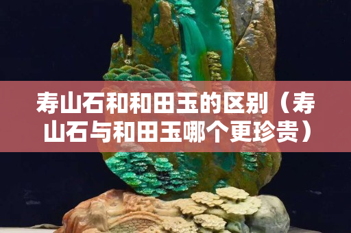 寿山石和和田玉的区别（寿山石与和田玉哪个更珍贵）