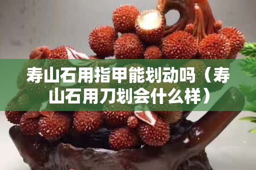 寿山石用指甲能划动吗（寿山石用刀划会什么样）