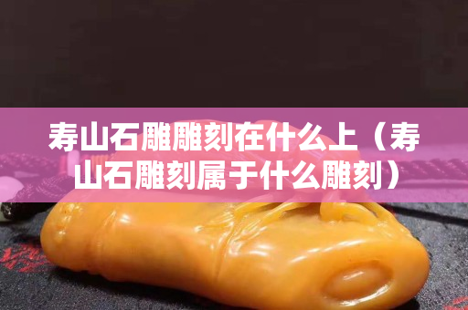 寿山石雕雕刻在什么上（寿山石雕刻属于什么雕刻）
