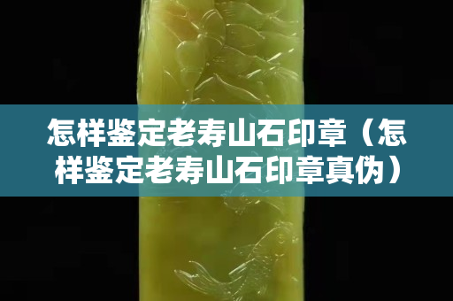 怎样鉴定老寿山石印章（怎样鉴定老寿山石印章真伪）