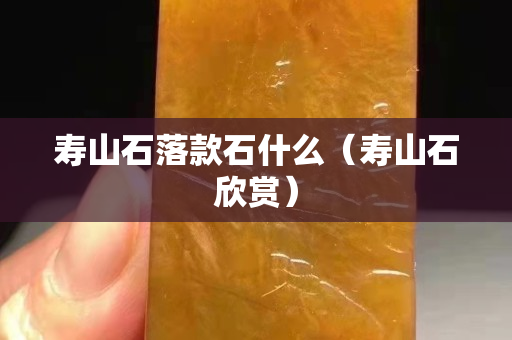 寿山石落款石什么（寿山石欣赏）