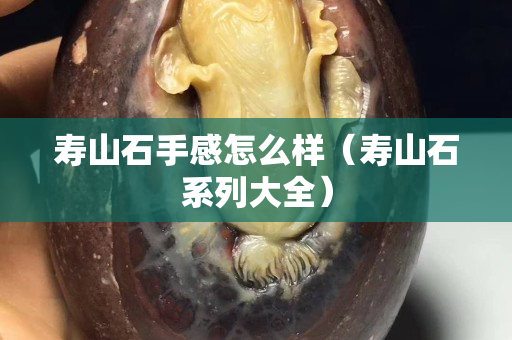 寿山石手感怎么样（寿山石系列大全）