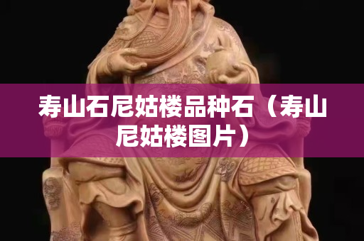 寿山石尼姑楼品种石（寿山尼姑楼图片）