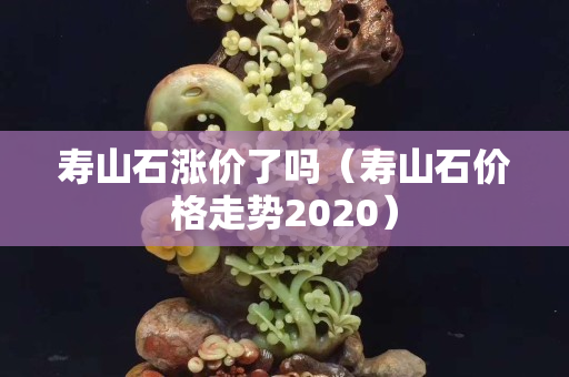 寿山石涨价了吗（寿山石价格走势2020）
