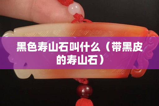 黑色寿山石叫什么（带黑皮的寿山石）