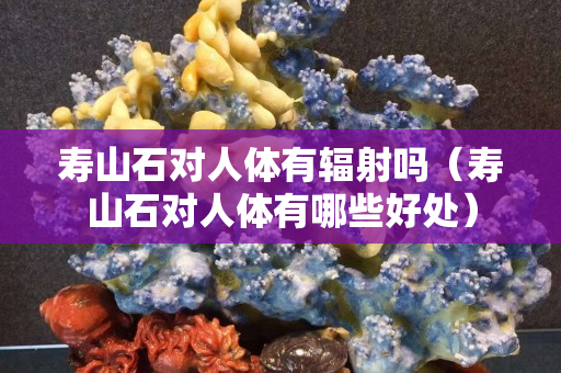 寿山石对人体有辐射吗（寿山石对人体有哪些好处）